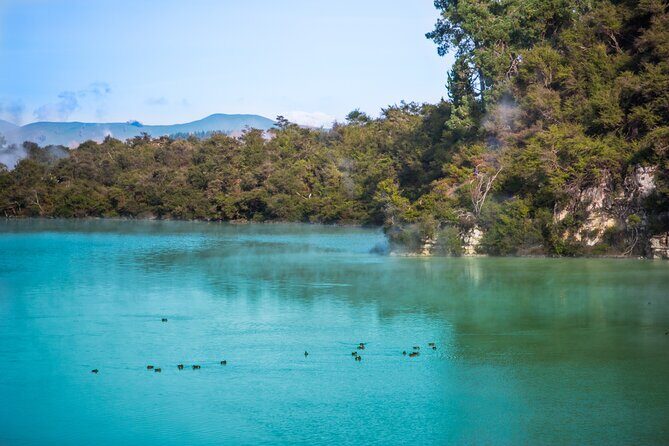 Magical Wanderer Experience Private Tour to Te Puia & Wai-O-Tapu - FAQ