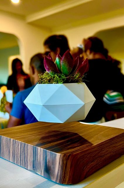 Magnetic Floating Terrarium Workshop - Introduction