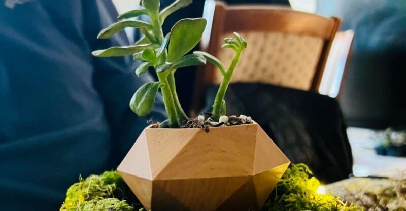 Magnetic Floating Terrarium Workshop - Why This Workshop Is Worth Considering