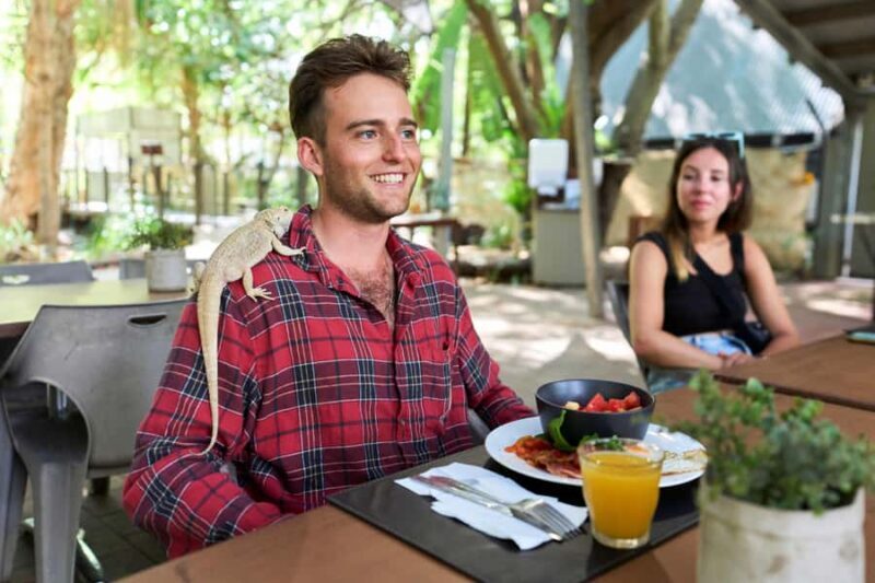 Magnetic Island: Breakfast with Koalas Experience - The Pros and Cons