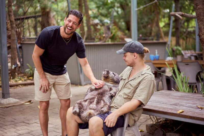 Magnetic Island: Breakfast with Koalas Experience - Why Is This Experience Worth It?