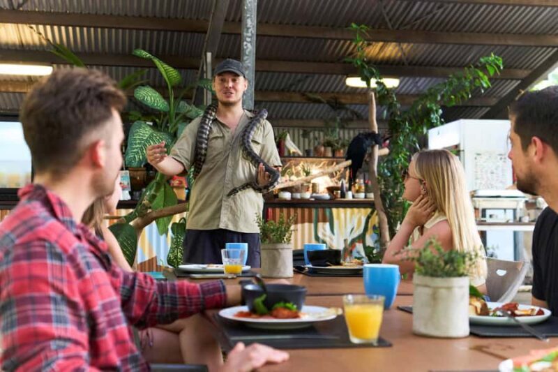 Magnetic Island: Breakfast with Koalas Experience - Final Thoughts