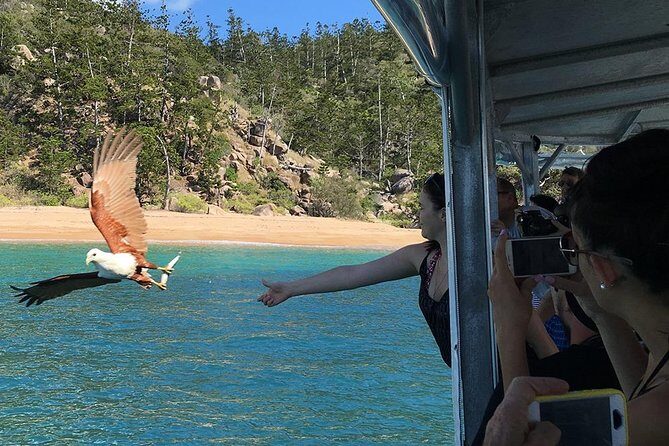 Magnetic Island Discovery Tour with Snorkeling & Paddle Boarding - Who Should Consider This Tour?