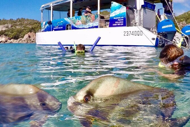 Magnetic Island Discovery Tour with Snorkeling & Paddle Boarding - Final Word