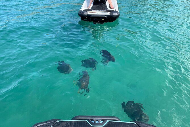 Magnetic Island Snorkel Jet Ski Tour - The Sum Up: Is It Worth It?