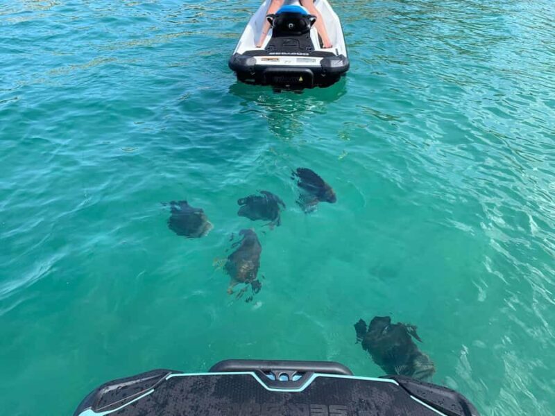 Magnetic Island Snorkel Jet Ski Tour - FAQs