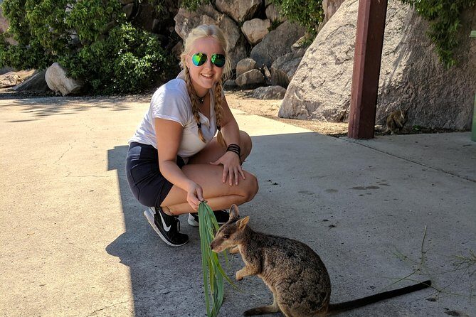 Magnetic Island Tour: Maggie Comprehensive - Key Points