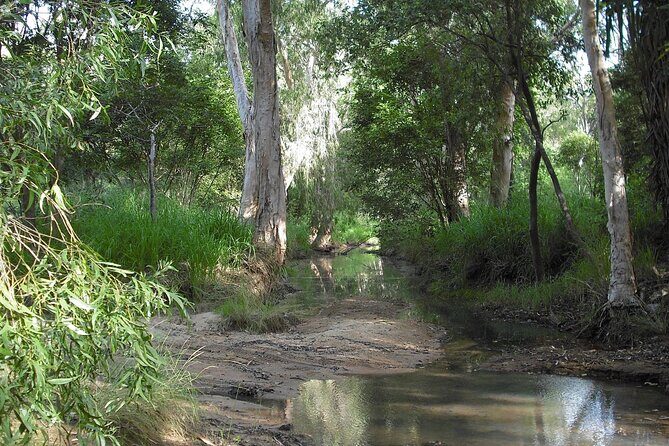 Magnetic Island: West Coast Eco Adventure - Practicalities and Booking