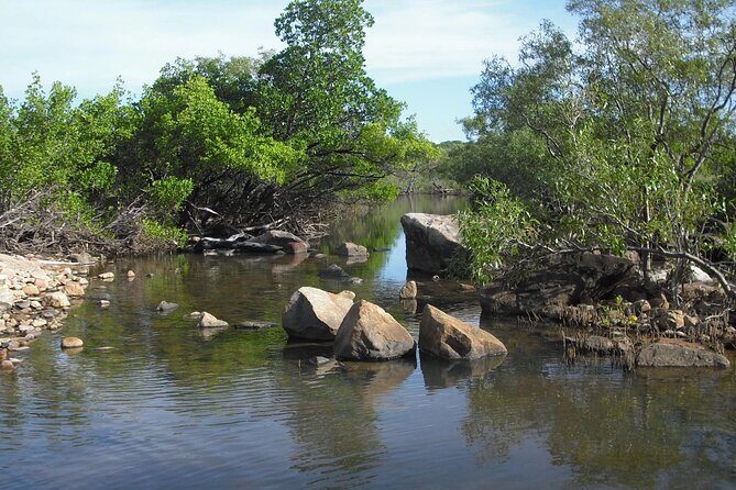 Magnetic Island: West Coast Eco Adventure - The Sum Up