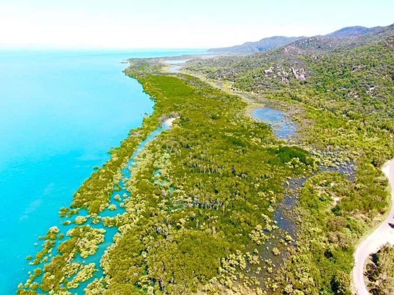 Magnetic Island: West Coast Eco Adventure Bus Tour - The Experience and What’s Included