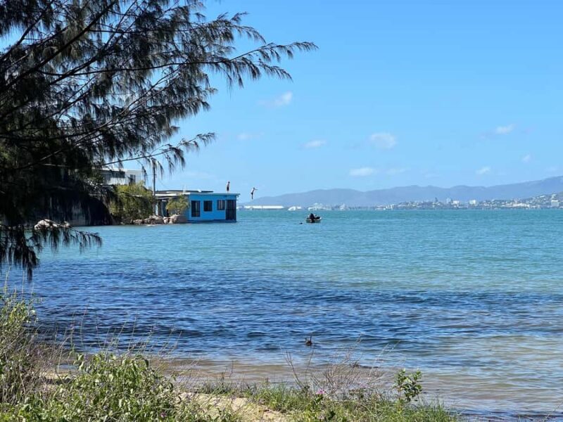 Magnetic Island: West Coast Eco Adventure Bus Tour - Who Should Consider This Tour?