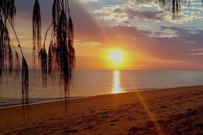 Magnetic Island: West Point Sunset Safari - What Makes This Tour Stand Out?