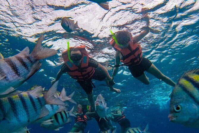 Magnificent Exploration to El Cielo Palancar and Columbia Reefs - Reviews and Real Traveler Insights