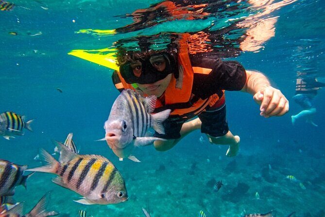 Magnificent Exploration to El Cielo Palancar and Columbia Reefs - Final Thoughts: Is This Tour Worth It?