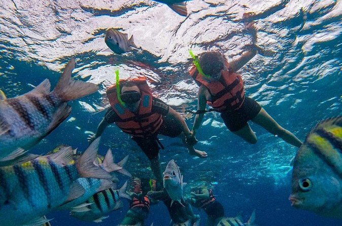 Magnificent Exploration to El Cielo Palancar and Columbia Reefs - Frequently Asked Questions
