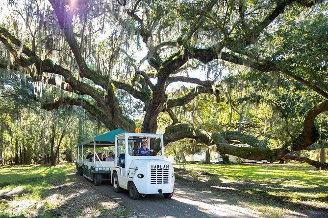 Magnolia Plantation Day Tour with Transportation - Final Thoughts