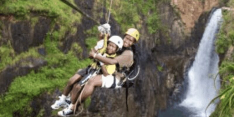 Magoebaskloof Adventures: 2H Canopy Tour - What to Expect During the Experience
