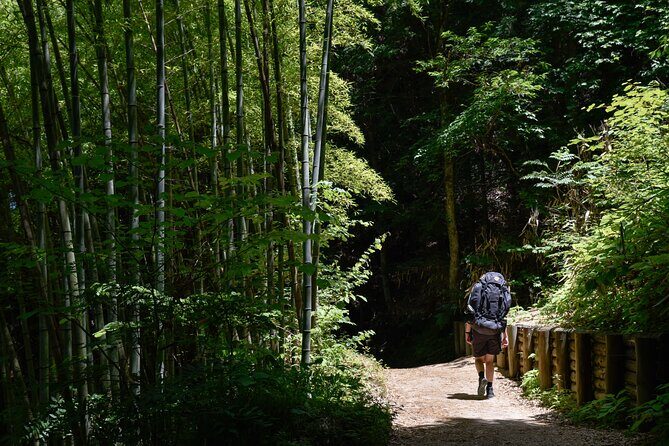 Magome & Tsumago Nakasendo Trail Day Hike with Government-Licensed Guide - An Introduction to the Nakasendo Trail Experience