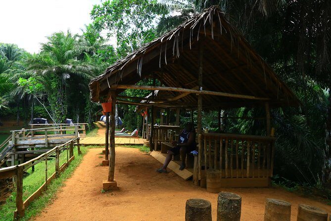 Magoroto Forest Reserve(3 Days) - First Impressions: Welcome to a Tropical Paradise