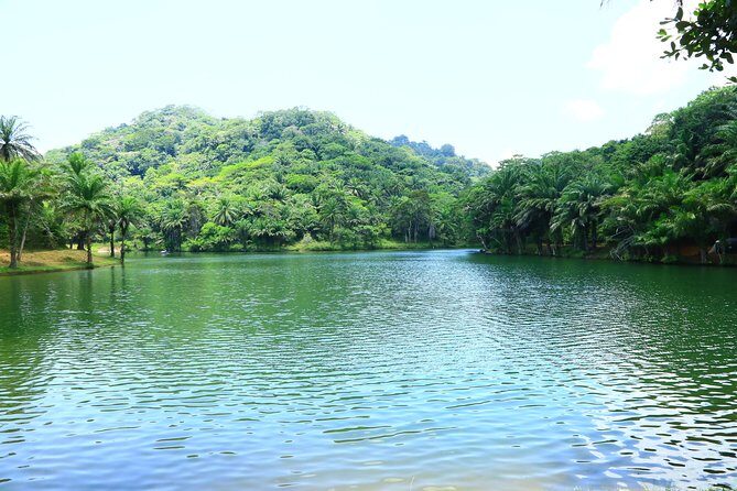 Magoroto Forest Reserve(3 Days) - Day 2: Embracing the Natural Beauty