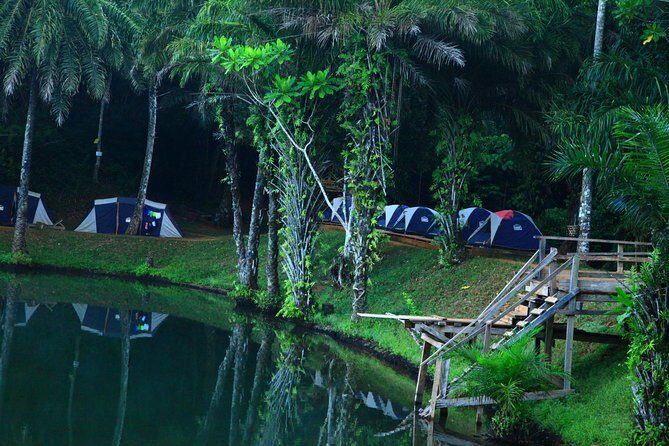 Magoroto Forest Reserve(3 Days) - The Cost and What You Get for It