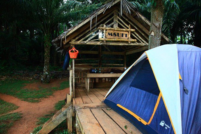 Magoroto Forest Reserve(3 Days) - The Sum Up