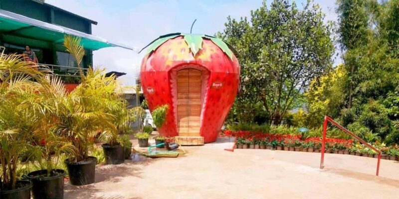 Mahabaleshwar Express Tour: Half-Day Highlights - The Drawbacks: What to Consider