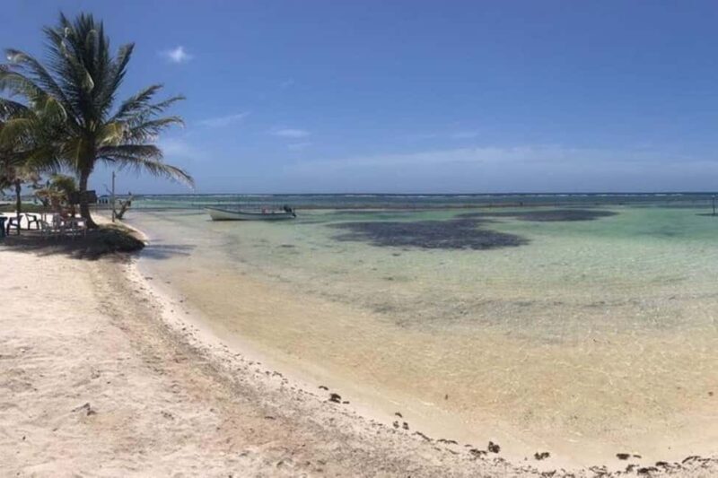 Mahahual: All-Inclusive Costa Maya Beach Break with Open Bar - Is It Worth It?