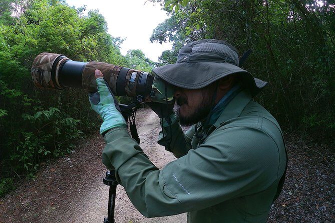 Mahahual and Costa Maya Birdwatching - Authentic Experiences and Real Feedback