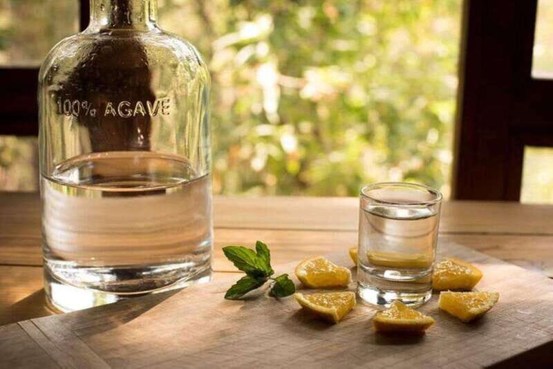 Mahahual: Authentic Mezcal & Tequila Tasting Experience - An Authentic Taste of Mexico’s Spirits in Mahahual