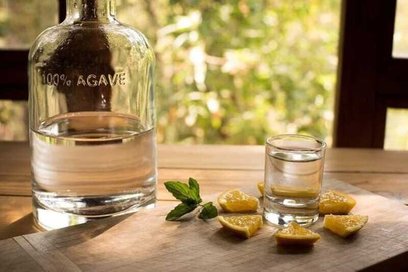 Mahahual: Authentic Mezcal & Tequila Tasting Experience - Group Size and Atmosphere