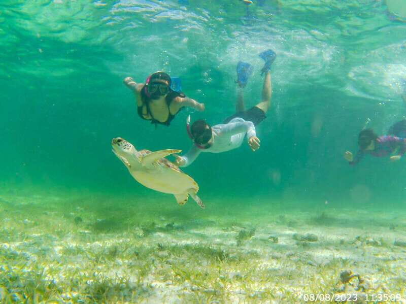 Mahahual: Snorkeling Boat Tour - Final Thoughts