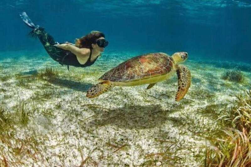 Mahahual: Snorkeling on the Great Mayan Reef - What to Expect from This Tour