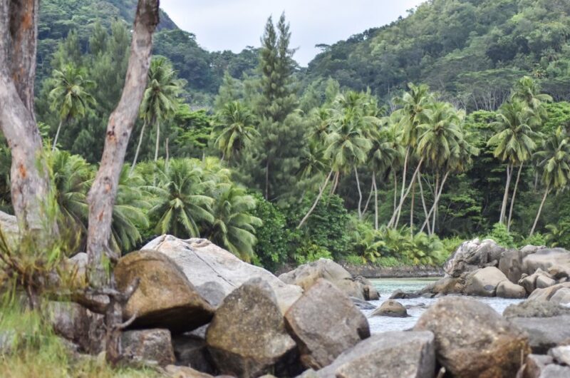 Mahe Island: Private Mahe Island Tour - Why Choose the Private Mahe Island Tour?