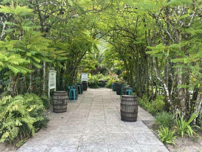 Mahe Island: Private Mahe Island Tour - Who Should Book This Tour?