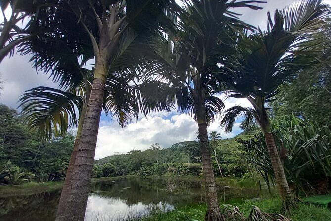 Mahe island Seychelles , unforgettable & adventurous tour - Exploring Mahé in Comfort and Style