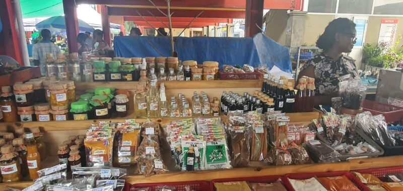Mahe: Private Cultural & Historical Tour - An Overview of the Mahe Private Cultural & Historical Tour