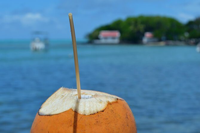 Mahebourg Village Food Tour - Key Points