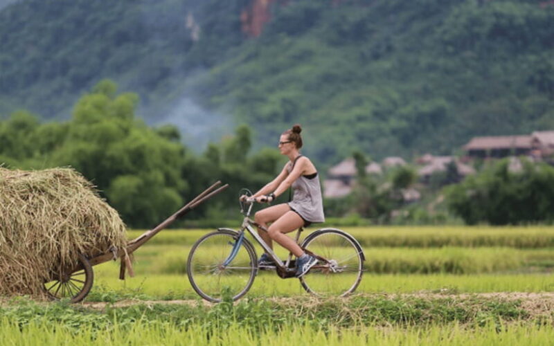 Mai Chau: 2-Day Tour with Local Ethnic Delicacies - Exploring Mai Chau: What You Can Expect