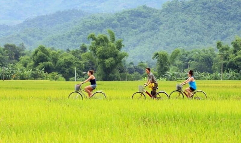 Mai Chau: 2-Day Trip with Trekking, Cycling, Food & Homestay - What You Can Expect on the Mai Chau Tour