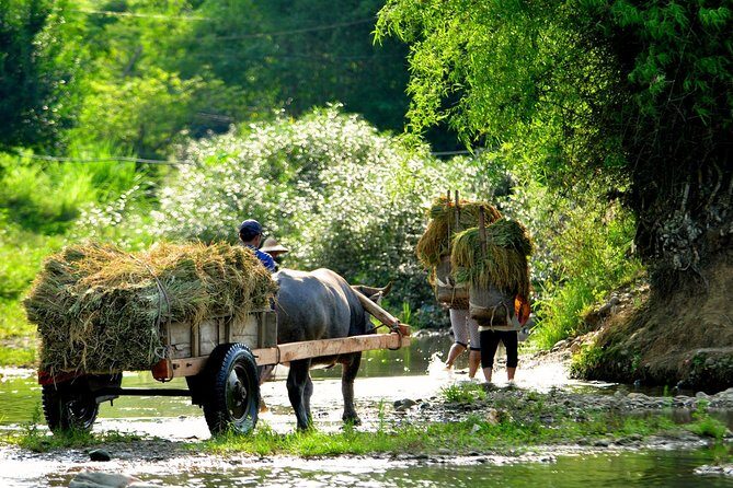 Mai Chau Private Day Tour: Hiking & Biking in Pristine Landscapes - Understanding What’s Included and What’s Not