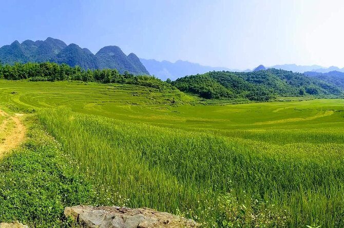 Mai Chau - Pu Luong 2 days - What the Reviews Say