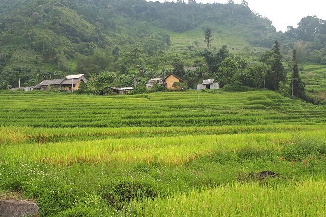 Mai Chau Pu Luong 2D1N - An In-Depth Look at Your 2-Day Adventure