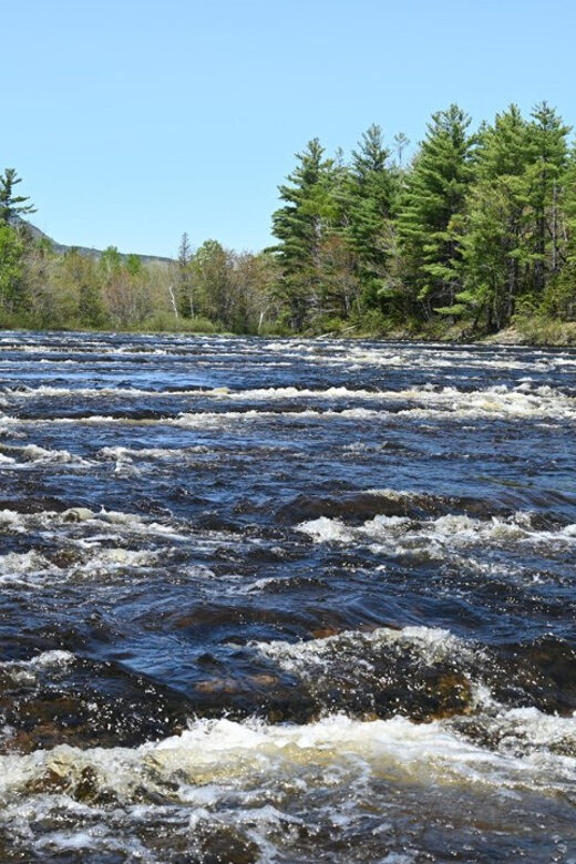 Maine: Penobscot Downriver Boat Rides - Practical Details: Meeting, Booking, and What to Bring