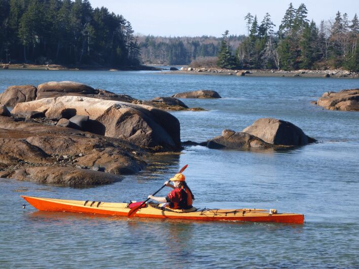 Maine: Penobscot River Guided Kayaking Tour - An Overview of the Penobscot River Kayaking Experience