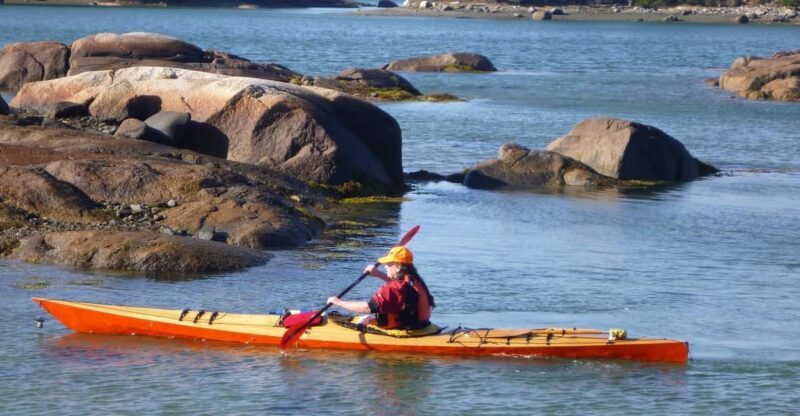 Maine: Penobscot River Guided Kayaking Tour - What Makes This Tour Stand Out