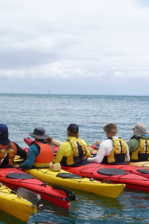 Maine: Penobscot River Guided Kayaking Tour - The Value and Practical Considerations