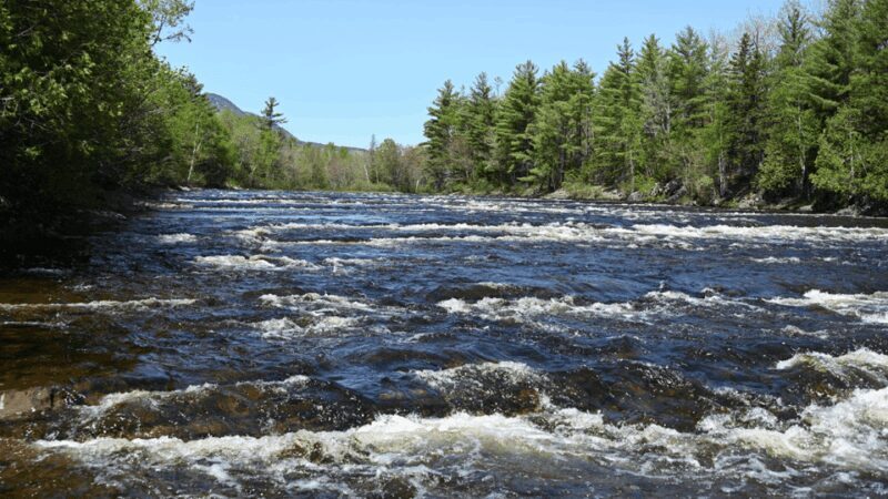 Maine: Penobscot River Private Charter Boat Ride - Who Will Enjoy This Experience?
