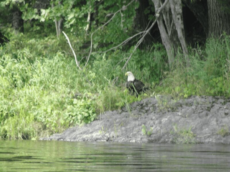 Maine: Penobscot River Private Charter Boat Ride - FAQ