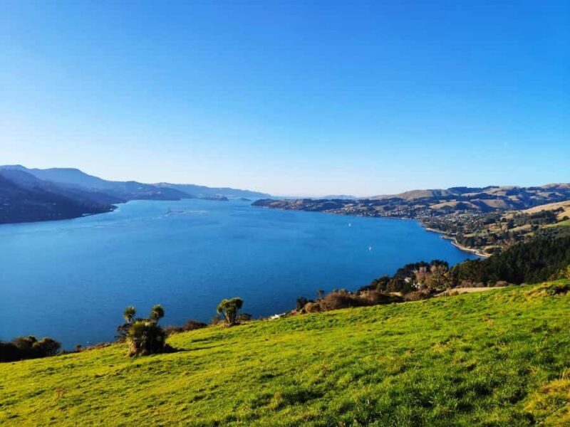 Mainland & Otago Peninsula Tour - What Makes This Tour Stand Out